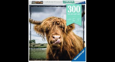 Ravensburger puzzel Moment Highland Cattle, puzzel voor volwassenen, korte puzzel, 300 stukjes, 13273
