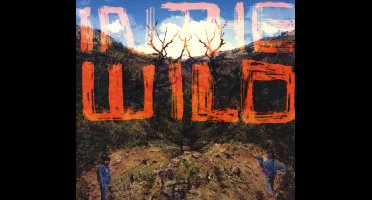 FaltyDL - In The Wild (CD)