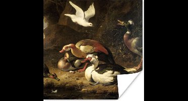 Poster Eenden - Schilderij van Melchior d'Hondecoeter - 50x50 cm