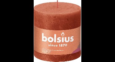 3 stuks Bolsius oranje rustiek stompkaars 100/100 (62 uur) Eco Shine Earthy Orange