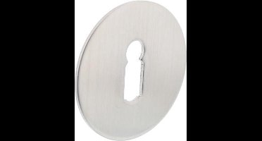 Intersteel Rozet met sleutelgat ø55x2 mm zelfklevend rvs geborsteld