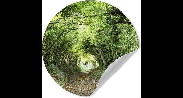 WallCircle® - Behangcirkel 30x30 cm - Muurstickers Bos - Boom - Tunnel - Muurcirkel woonkamer - Wandcirkel slaapkamer - Kamer decoratie zelfklevend - Muurdecoratie accessoires