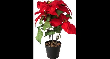 Kunstplant kerstster rood 40 cm