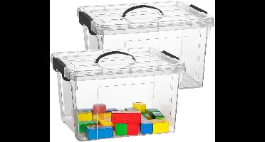 Plasticforte Opslagbox - 2x - met deksel - transparant grijs - 23.5 liter - 42 x 36 x 25 cm - kunststof - opbergdoos - opbergen