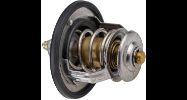 Thermostaat OEM 212006N210