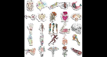 Anatomy stickers - 50 stuks memestickers met cartoon organen en anatomische diagrammen voor laptops, theekopjes en tablets