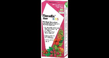 Floradix IJzer Elixer Kids - 4 x 250 ml - Voordeelverpakking