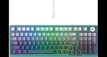 Havit KB899L toetsenbord Gamen USB QWERTY