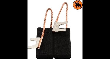Koolborstelset voor Black & Decker frees/zaag PAG618 - 6,35x12x22mm