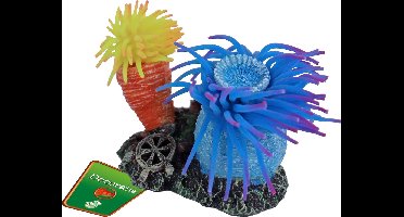 De Boon Annemoon 2 + Rots 10CM