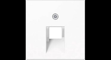 Jung AS500 Insteekplaat Schakelmateriaal - A569-1BFPLUAWW - E2K8X