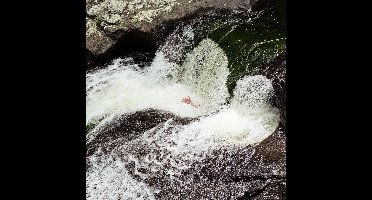 The Fugitives - Everything Will Happen (LP)