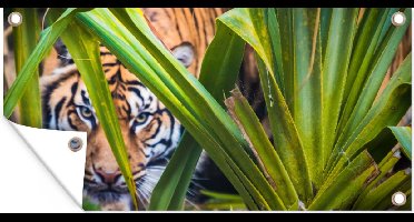 Tuinposter Verstopte Sumatraanse tijger tussen het gebladerte - 80x40 cm - Wanddecoratie Buiten - Tuinposter - Tuindoek - Schuttingposter - Tuinschilderij
