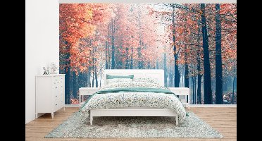 Behang - Fotobehang De mistige bossen van de Redwood forest bij zonsopgang in China - Breedte 430 cm x hoogte 240 cm