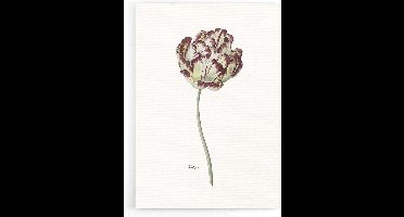 Walljar - Tulipa - Muurdecoratie - Poster