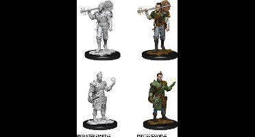 D&D Nolzur's Marvelous Miniatures Half-Elf Bard Male