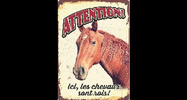 Plenty Gifts Waakbord Paard Les Chevaux 21 X 14,8 Cm Staal (fr)