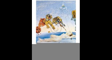 Kunstdruk Salvador Dali - Une seconde avant l'eveil 60x80cm