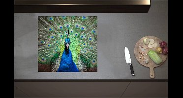 Inductieplaat Beschermer - Close up van blauwe pauw met zijn veren omhoog - 58x55 cm - 2 mm Dik - Inductie Beschermer - Bescherming Inductiekookplaat - Kookplaat Beschermer van Wit Vinyl