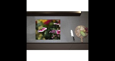 Inductieplaat Beschermer - Chinese Anjer Bloemen in het Veld - 60x50 cm - 2 mm Dik - Inductie Beschermer - Bescherming Inductiekookplaat - Kookplaat Beschermer van Zwart Vinyl
