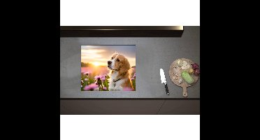 Inductieplaat Beschermer - Bruin met Witte Hond in Veld Vol Roze Bloemen met Zonsondergang - 59x50 cm - 2 mm Dik - Inductie Beschermer - Bescherming Inductiekookplaat - Kookplaat Beschermer van Wit Vinyl