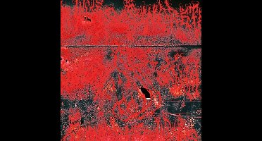 Concrete Winds