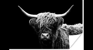 Poster Schotse Hooglander - Koe - Zwart - Wit - Dieren - 30x20 cm
