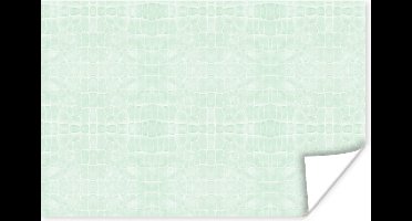 Poster Leer - Structuur - Dierenhuid - 30x20 cm