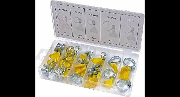 26 Delig Slangklem Assortiment met Vleugelmoer