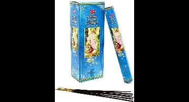 HEM WIEROOK ANGEL DE MI GUARDA