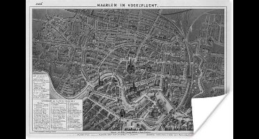 Poster Plattegrond - Haarlem - Zwart Wit - 30x20 cm - Stadskaart