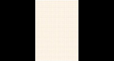 Blok millimeter papier - in A3 formaat - 25 grote vellen - ruitjes papier - wiskunde - technisch tekenen - tekenpapier