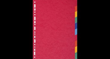 Exacompta 10x Tabbladen in glanskarton 225g - 10 tabs - A4 - Geassorteerd - 1410E