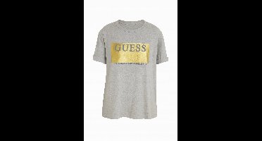 Guess - T-shirt - Glanzend - Grijs - Maat S
