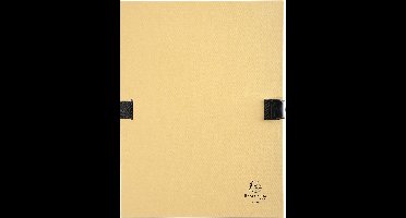 Exacompta 10x N'CLIP® Map uitrekbare rug en klep - Mastiek - 21525E