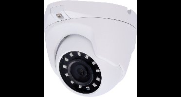 OEM 2mp 4in1 dome camera, 140 graden kijkhoek, infrarood 30m