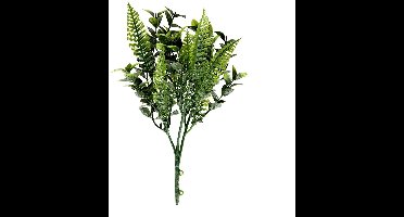 Buitengewoon de boet - Ligistrum 32 cm kunsttak