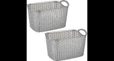 Plasticforte opbergmand kastmandje - 2x - 6,4 liter - zilver - kunststof - 19 x 29 x 18 cm - manden