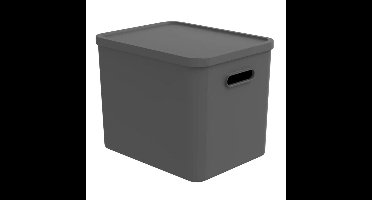 Rotho ALBULA Multibox 29.5x29x37 cm 27L Antraciet