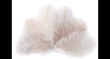 Geverfde struisvogelenveren, lengte ongeveer 170 mm