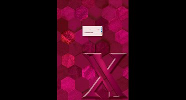 Kartonnen omslagen X voor mappen, DIN A4, wijndruivenrood