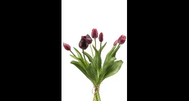 Emerald - Kunstbloem Tulp Bundel 40cm donker rood - Kunstplant voor binnen