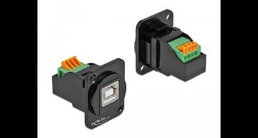 Delock D-Type Module USB 2.0 Type-B female to terminal block