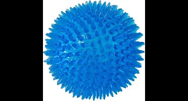 Hondenspeelgoed bal 10 cm drijvend blauw