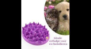 Hét ideale eetbakje voor uw huisdieren