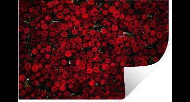 Muurstickers - Sticker Folie - Bloemen - Rozen - Rood - 30x20 cm - Plakfolie - Muurstickers Kinderkamer - Zelfklevend Behang - Zelfklevend behangpapier - Stickerfolie