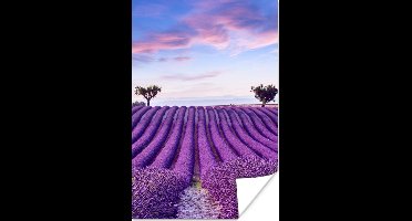 Poster Lavendel - Natuur - Paars - Bomen - Bloemen - 20x30 cm