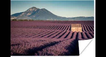 Poster Lavendelgebied in het zuidoosten van Frankrijk - 30x20 cm