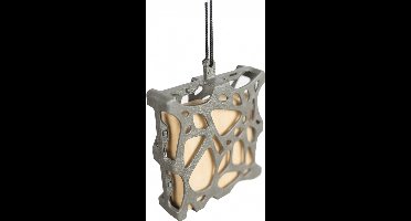 Singing Friend - Hello Anna