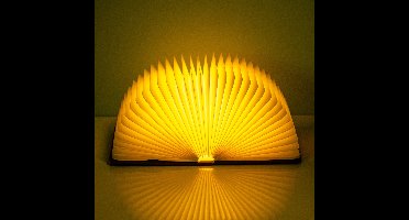 Mini boeklamp - 17 x 13 cm